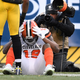 Illustration for article titled The Browns Have Turned Yet Another First-Round Pick Into A Bag Of Shit